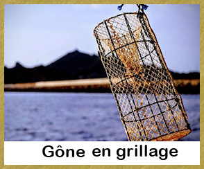 Pêche à la Nasse - 